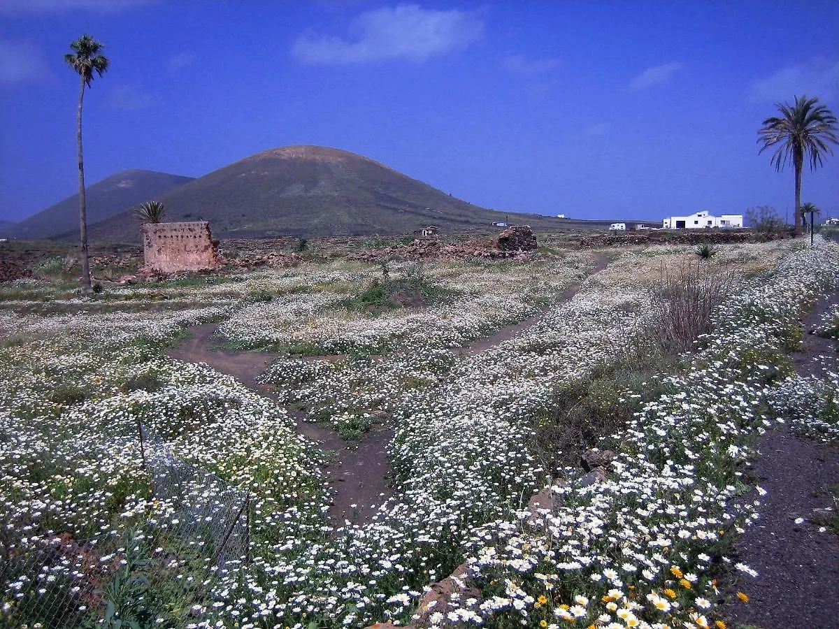Castillo Lanzarote Villa Winni - Luxury Villa - Pet Friendly With Heated Pool La Asomada  Spanien