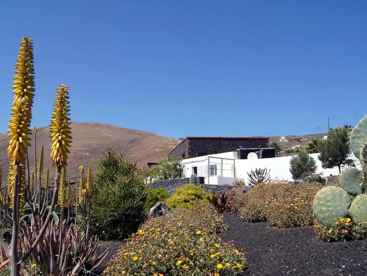 Feriehus Castillo Lanzarote Villa Winni - Luxury Villa - Pet Friendly With Heated Pool La Asomada  Spanien
